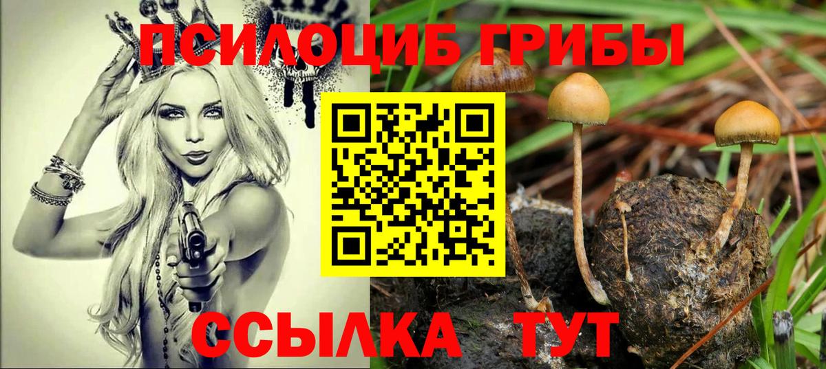 купить  сайты  Псилоцибиновые грибы ЛСД  Вход с VPN  Рассказово 